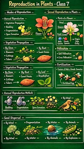Reproduction in Plants Class 7 🌱 | Complete Chapter Notes | Green Board | NCERT Science ! #shorts