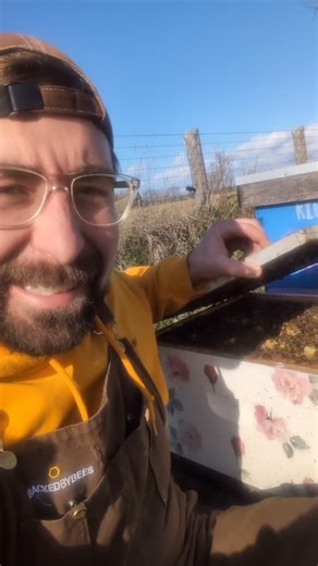 Backed By Bees on Instagram: "Where do honey bees go in the Winter? ❄️🤔 The simplest answer? They go home 🐝 Even when temperatures outside drop, honey bees are able to maintain a comfortable temperature inside the hive, and there are a couple of things that Beekeepers like Dave can do to help them out! 👍🏻 🐝 Put in an entrance reducer to limit the amount of cold air (and scavengers) that are able to make it inside the hive. 🐝 Add a layer of styrofoam insulation on top of the inner lid, befo