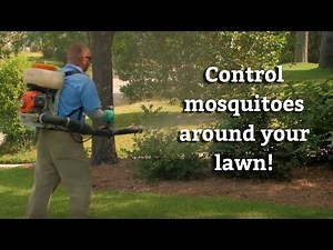 Mosquito Protection Services for Your Yard | Expert Lawn Care Tips