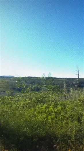 I’m headed to Western States in 2026!!! 🤠 https://youtu.be/68C2F3-5v8k This is without a doubt the biggest dream come true for me. I’ve been working toward this race for over a decade, and it still feels surreal to say “I’m in” out loud. I’ve had the privilege of being out there three times, to film a documentary, pace a friend, and work media. But running it is a once in a lifetime opportunity, and I don’t take it lightly. I’m also back on YouTube and would love for you to follow along. Just a