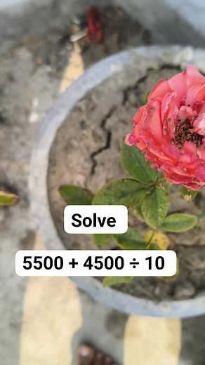 Math Test Solution for your | M Mathematics