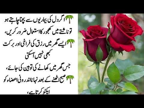 Motivational Urdu Quotes| Motivational Islami Quotes| Sunehri Batein | Golden Words | Rumi Quotes