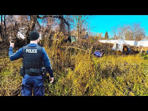 From overgrown to clear: Epic property transformation with skid steer & brush cutter!