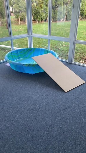 This is gonna be fun. 💚🐢 #sergioturtle