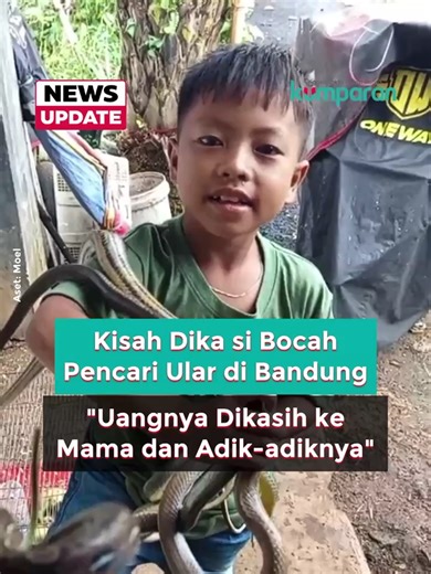 Dika: Bocah Berani Penangkap Ular di Bandung