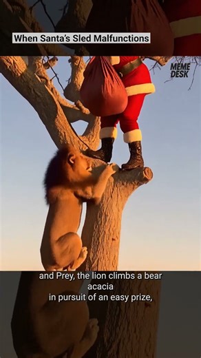 When Santa’s Sled Malfunctions – Caught on Camera #52