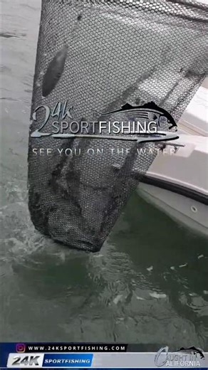 We Found Some Females And They All Looked Good