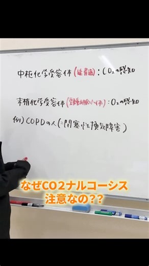 はる看|楽しく学ぶ看護塾 on Instagram: "呼吸の化学受容体？🫁 一般状況レベルでは 理解しておくべき重要ポイント💫 ◉中枢化学受容体：延髄 ◉末梢化学受容体：頸動脈小体 この理解をしておくと CO2ナルコーシスも問題なし👍 一緒に楽しく勉強しましょう🙌 #看護師国家試験 #看護学生 #看護学生の勉強垢 #看護師国家試験対策 #はる看"