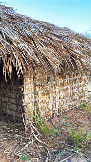 250 reactions · 17 comments | Sometimes, simplicity is the real...