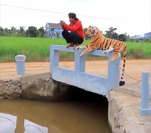 2.7M views · 45K reactions | [Amazing Funny Prank] Fake Tiger Vs Men new content, Funny Video 2020 | Bijaya maharjan artist | Facebook