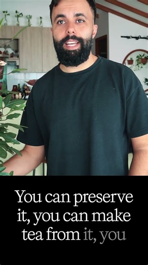 The BEST plant for your balcony garden!