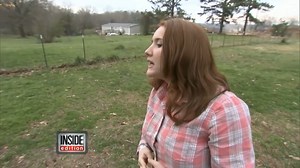 28K views · 556 reactions | Watch the heartwarming moments these pets were reunited with their owners after unlikely adventures. | Inside Edition | Facebook