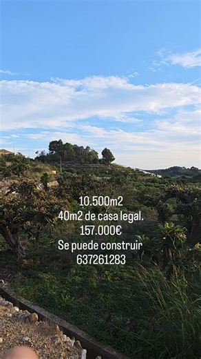 10.500 M2 terreno. Agua de riego y de red potable. Casa registrada de 35 M2 buen acceso. Entre callosa y altea la Vella. Se puede construir. O ampliar la casa que hay. | Javi Redis