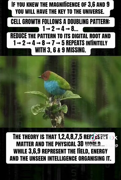 Nikola Tesla said if you knew the magnificence of 3, 6 and 9, you would have the key to the universe. . When life begins, cells divide in a doubling sequence. 1 becomes 2, 2 becomes 4, 4 becomes 8, 8 becomes 16 and the pattern continues infinitely. But when you apply vortex math and reduce each number to its digital root, a hidden loop appears: 1, 2, 4, 8, 7, 5… over and over again. . What is fascinating is that 3, 6 and 9 never appear in that repeating loop. The numbers 1, 2, 4, 8, 7 and 5 seem