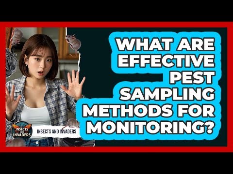What Are Effective Pest Sampling Methods For Monitoring? - Insects and Invaders