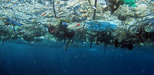 Ocean debris leads the way for castaway fisherman