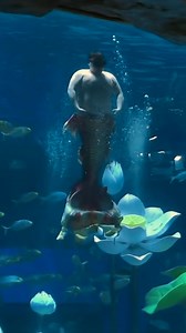 62M views · 691K reactions | No vuelvo a salir 沈 #aquarium #mermaid #sirena | Jonathan De Jesus | Facebook