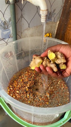 How I made real fermented pap in just 24 hours (and why it’s safe).