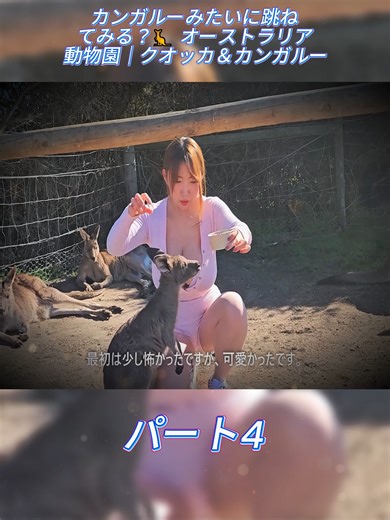 カンガルーみたいに跳ねてみる？🦘 オーストラリア動物園｜クオッカ＆カンガルー