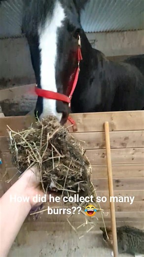 3.1K views · 17 reactions | Zach is looking fresh after his most recent deburring session  | New Leaf Farms | Facebook