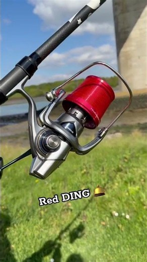 Red DING 🛎️ #carpfishing #casting #surfcasting DDAWNG Fishing