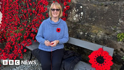 Knitting poppies helps us remember those who go to war