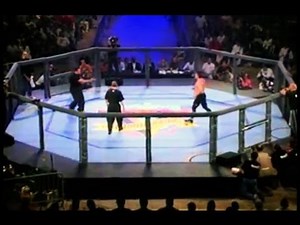 Wing Chun Vs MMA, Kung Fu, BJJ, Boxing, Karate, Wrestling, Muay Thai, Sambo, Kickboxing