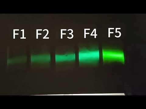 Luminous Powder Light Absorption Experiment