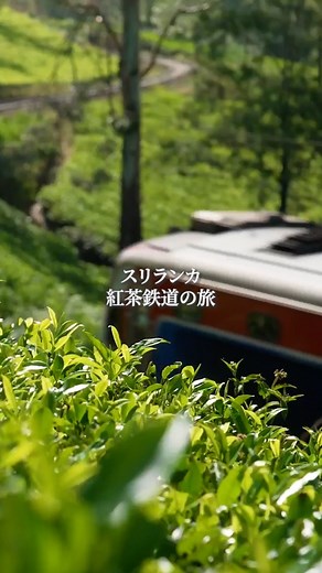 世界の車窓から（テレビ朝日公式） | スリランカの高原列車で紅茶の産地を走ります！ @sekainoshasokara_tvasahi → 📷フォロー・過去の投稿 【スリランカ中部・人気の紅茶鉄道】 スリランカ鉄道で有名なのは 紅茶の産地を走る高原列車🚃 茶畑の合間を縫うように走る列車は... | Instagram