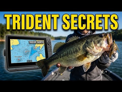 Lewis Smith Reservoir Bass Fishing Spots Trident North Offshore Structure Breakdown