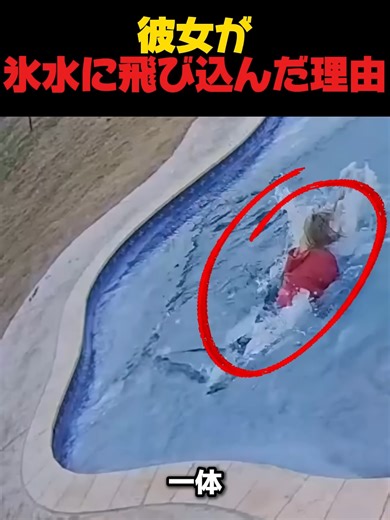 彼女が氷水に飛び込んだ理由 #感動する話 #ライフガード #救助 #溺死 #満足動画#満足#感動ストーリー #犬の救出