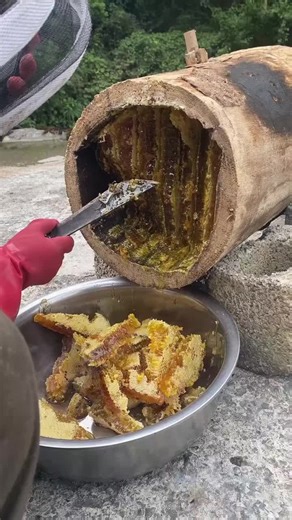 #foryou #foryoupage #usa #unitedstates #villagelifestyle