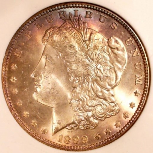 Coin Collecting: How To Tone Coins Naturally And Increase Coin Value