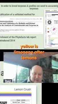 Terpene Profiles: Visualizing Complex Data with Color