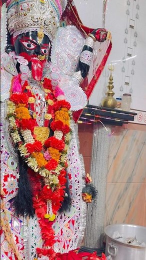 हे माई हो माँगातीया अचरा पसार हो मयरीया 🌺🌺🌺🌺🌺🔱🪔 #bhojpuridevigeet #devigeet #navratrispecial