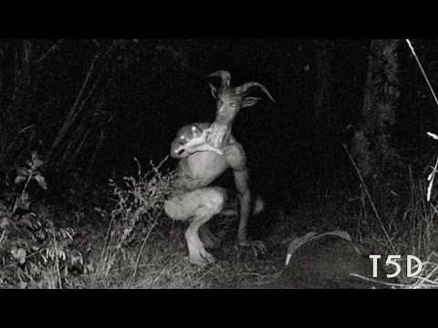 The Process of Encountering a Skinwalker and what they do