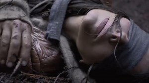 'Bird Box' Spawns Infinite Parodies, Memes