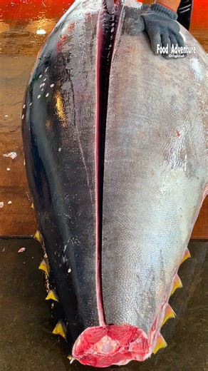 19M views · 331K reactions | Watch the full process from giant bluefin tuna to perfect otoro #JapaneseCuisine #TunaSashimi #fblifestyle #黑鮪魚 #FoodArt | Food Adventure | Facebook