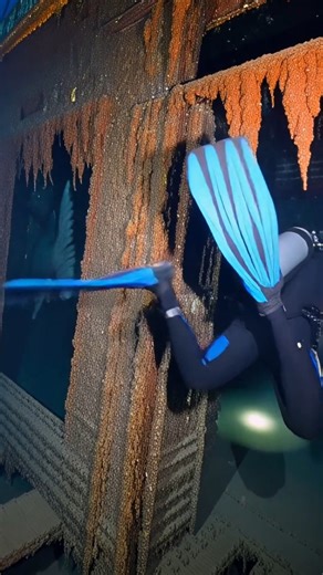 studiobrakdown on Instagram: "Divers Found Titanic Wreckage in the Deep Ocean 😱🌊 Deep in the dark ocean, divers discover real Titanic wreckage—rusted steel, broken cabins, and an eerie silence all around. Every move reveals shocking details, rare remnants, and a chilling atmosphere like a real-life underwater horror scene. What’s still hidden inside the Titanic after all these years? Watch till the end for the most terrifying discovery! #Titanic #TitanicWreck #DeepSea #OceanDiscovery #ScubaDiv