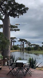 60K views · 2K reactions | Madagascar. : Rever_mada | Africa is Home tourism center | Facebook