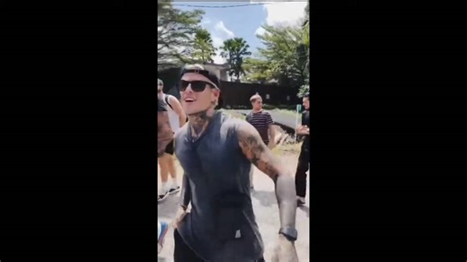 Snake discovery | Jungle snakes adventure with viper, reticulated python and vine snake bites