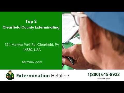 Top 3 Exterminators in Clearfield