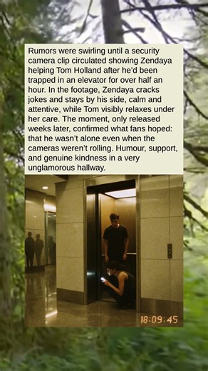 "The Lifted Spirits"