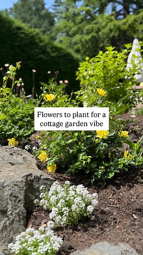 Is your garden vibe whimsical, informal, and free-flowing with flowers?🌻 Then you’d likely swoon over a cottage garden like I do. Here’s what I’ve learned over the years that can help you achieve it ⬇️ 🌸There is no need for straight lines and patterns. Embrace informality and let plants cascade more naturally. It’s about being laid back. 🌸 Curved garden beds and winding paths add to the informal aesthetic. 🌸No need to worry about big structural evergreens, but adding trellises, arbors, and o