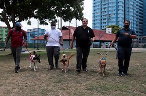 ¡Un hospital para las mascotas!