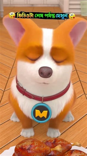 Jimmy কে Moco হারিয়ে ছাড়লো 😂|#shorts #cartoon #mojarcartoon #animation #facts