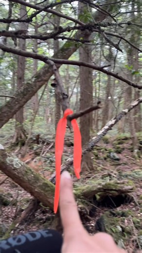 Japan's forbidden forest Aokigahara | Exploring With John