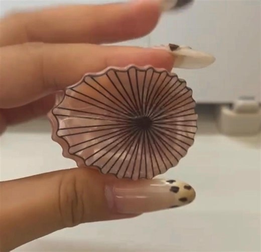 Mini Opihi Shell Hair Claw Clip - Etsy