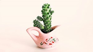 Small Garden Hacks: Grow These 5 Tiny Plants In A Cup | Herzindagi