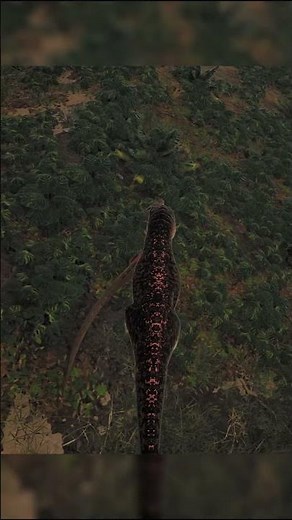 Ambush predator | The Isle Evrima